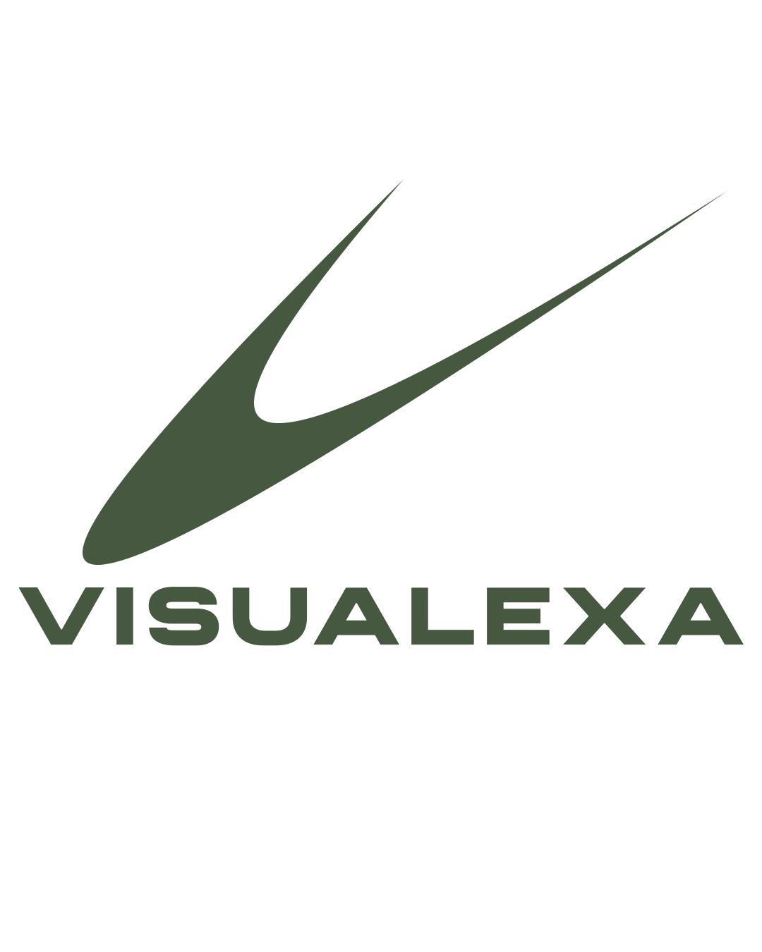 visualexa.in